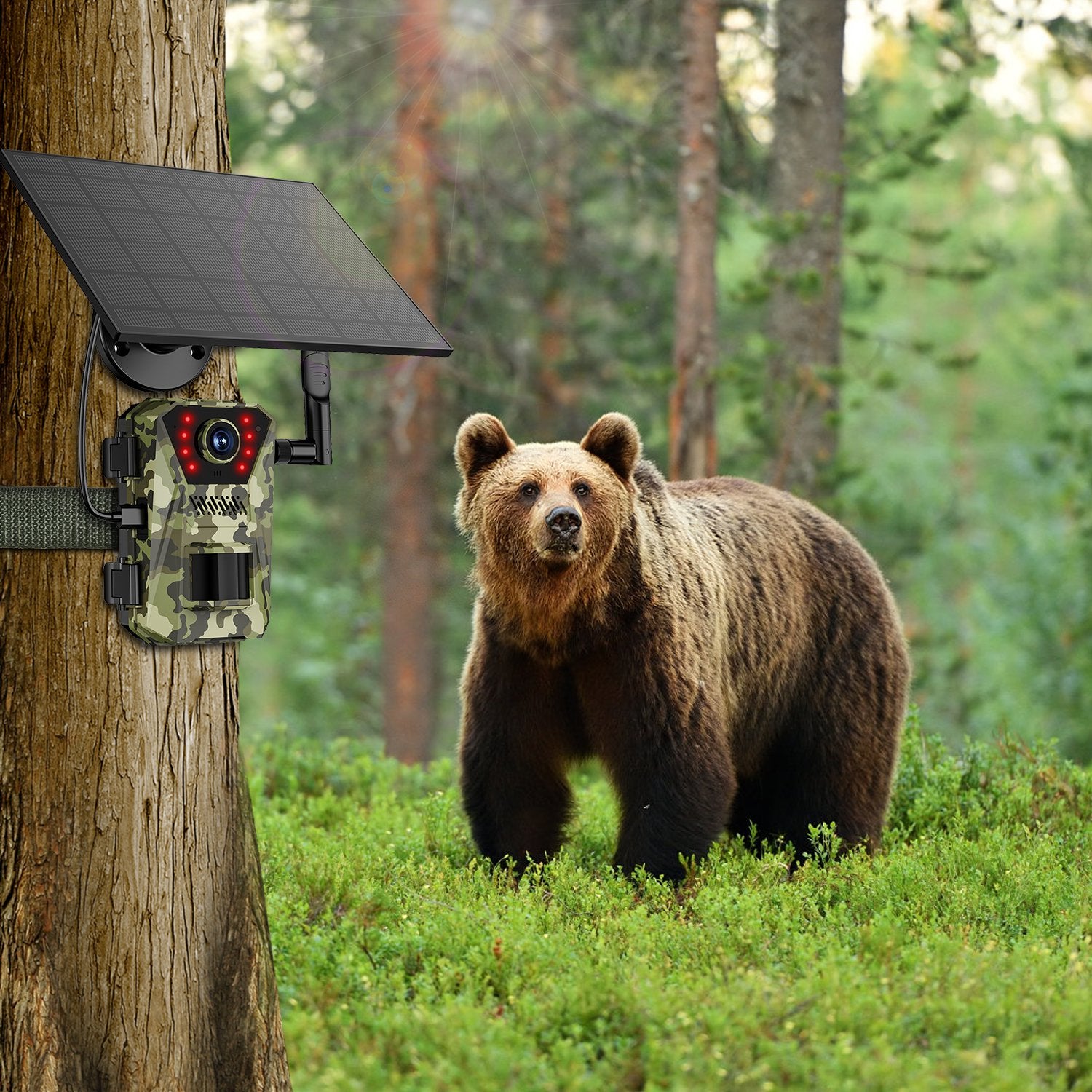 4G Trail Camera 4K Solar - Wildlife Camera Night Vision