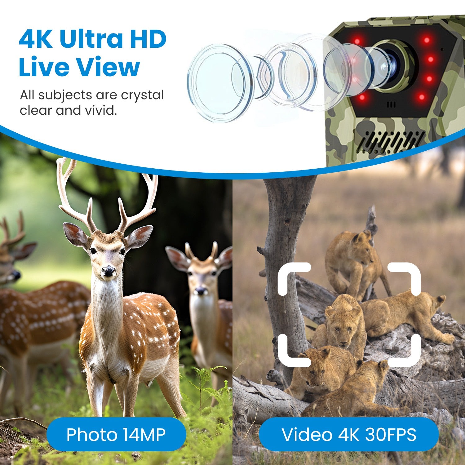 4G Trail Camera 4K Solar - Wildlife Camera Night Vision
